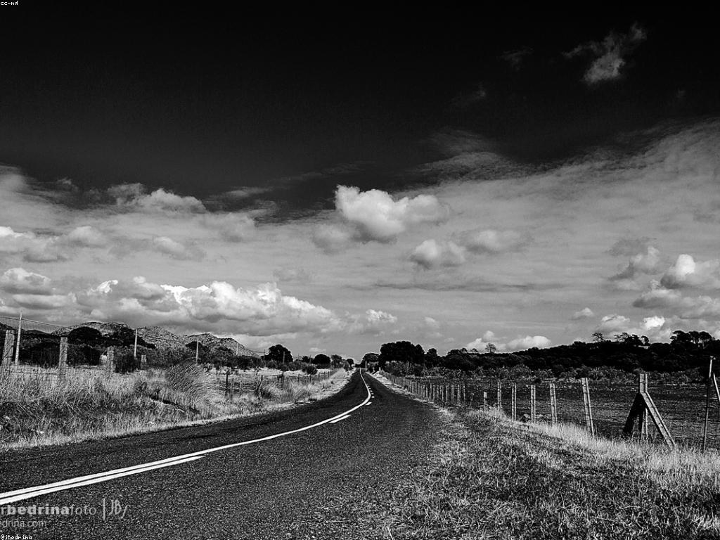 ការអភិវឌ្ឍគម្រោង: ជំហានសំខាន់សម្រាប់ភាពជោគជ័យ