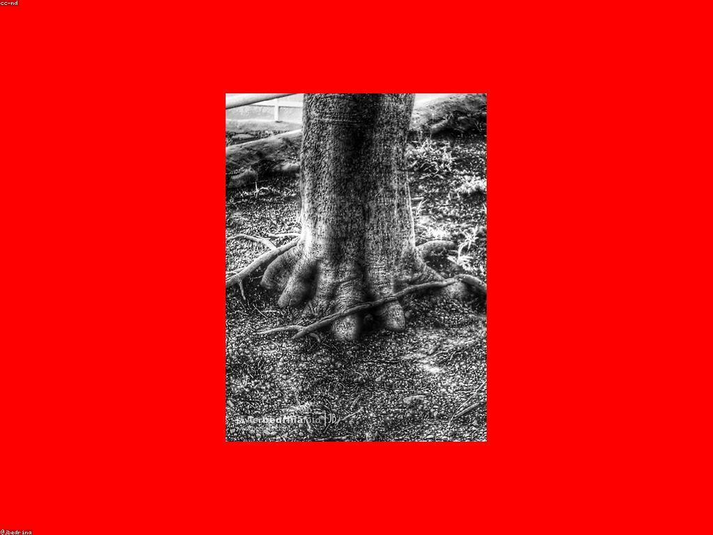 ខ្លឹមសារនៃការអនុវត្តគម្រោង