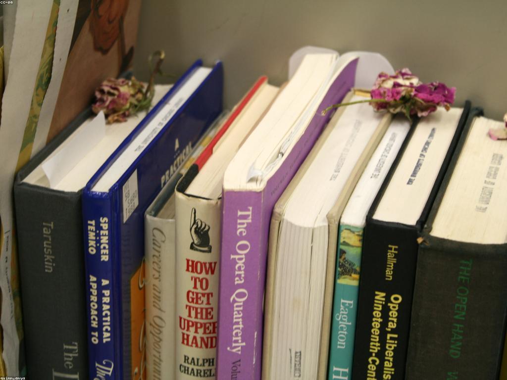 ឱកាសការងារនៅក្នុងបច្ចេកវិទ្យា