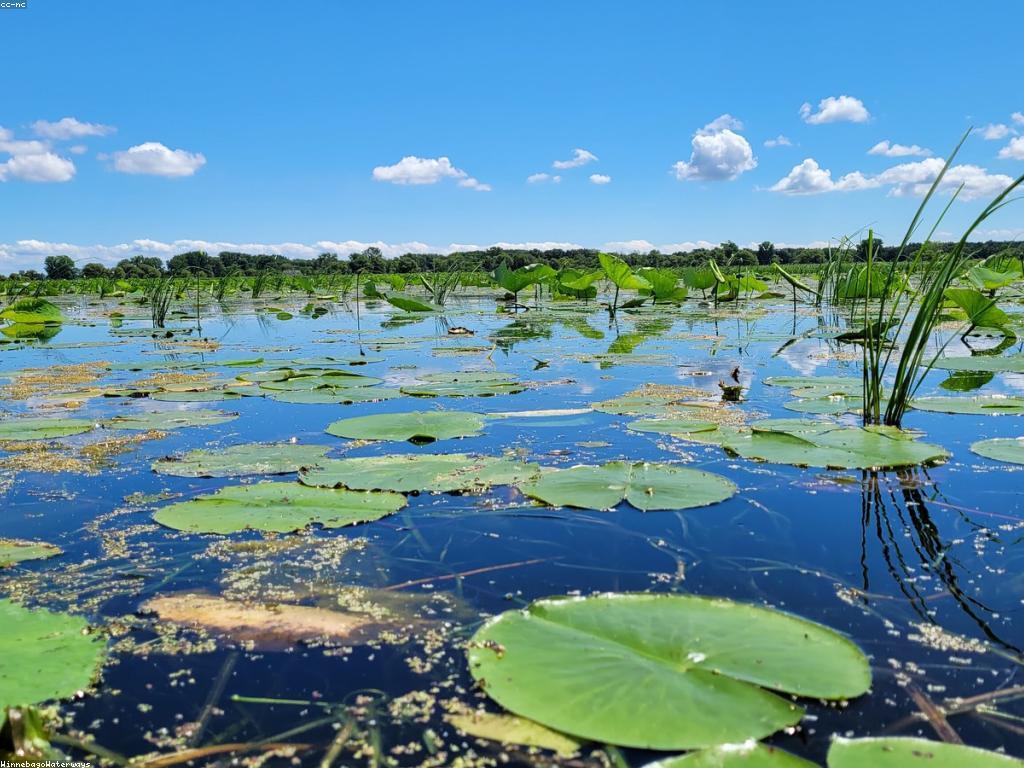 យុទ្ធសាស្ត្រសម្រាប់ការប៉ាន់ស្មានកម្រិតនៃការអភិវឌ្ឍគម្រោង